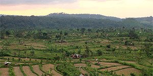 villa pantai candidasa
