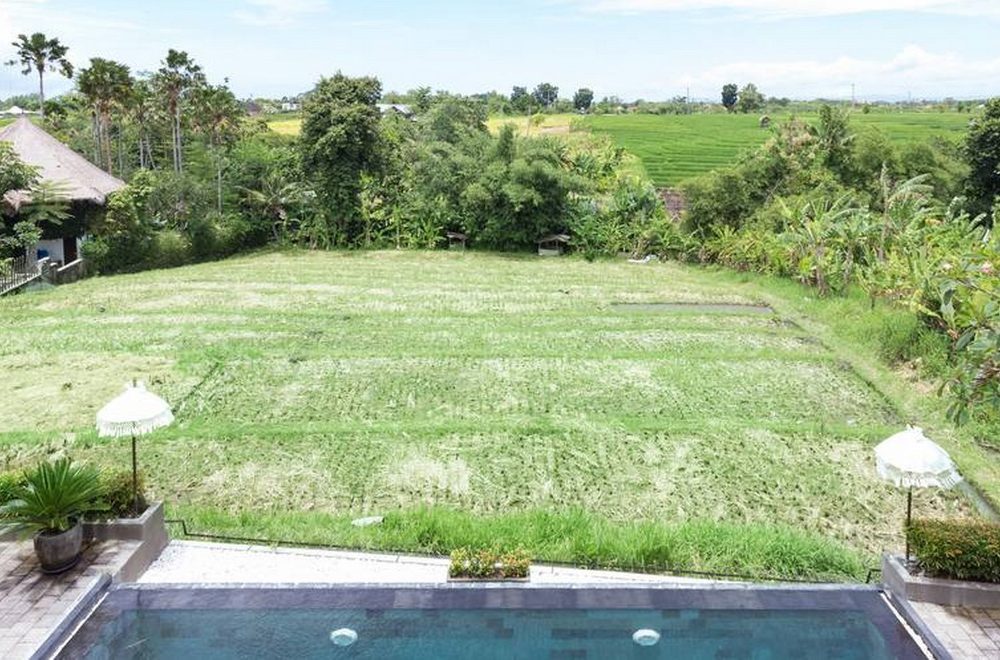 The rice fields at villa Subak after harvesting