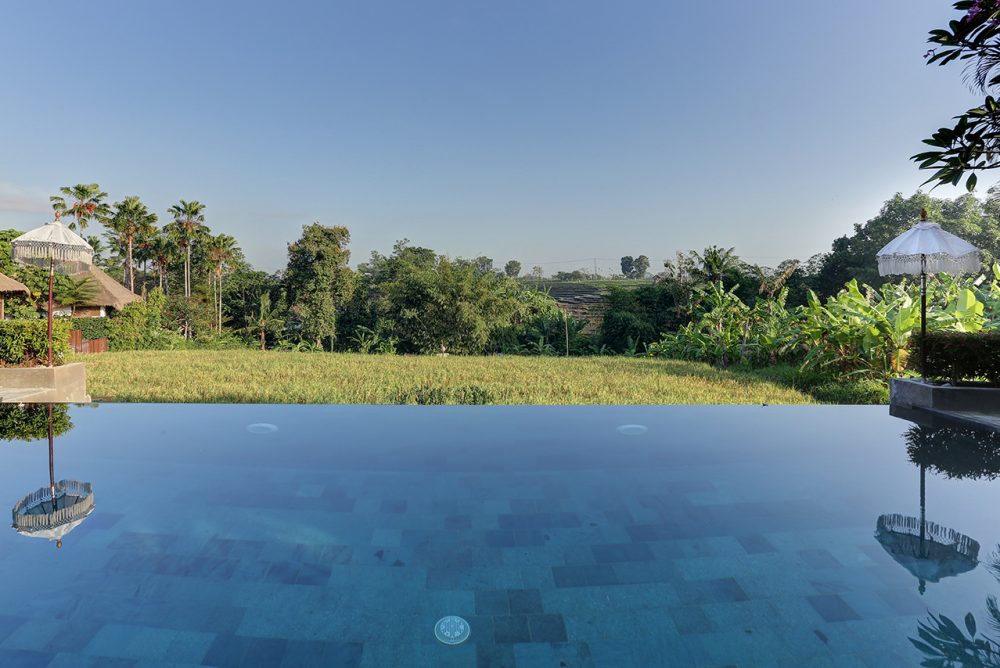relaxing swimming pool while enjoying the yellowing rice fields